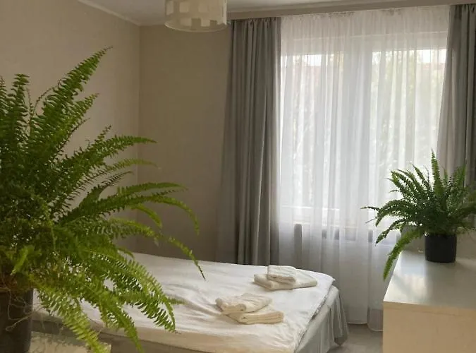 Kwiatowy Zakatek * Kolo (Greater Poland)